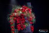 2052IMG_8580_wynik