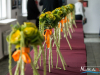 1527img_8964_09_14_2015