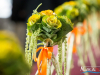 1528img_8965_09_14_2015