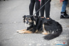 1531IMG_9627_wynik