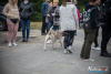 1535IMG_9655_wynik