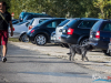 1515img_3951