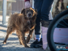 1516img_3956