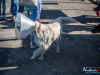 1516img_3959