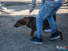 1517img_3960