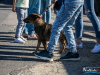 1517img_3965