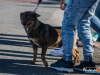 1517img_3966