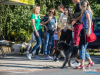 1518img_3968