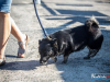 1518img_3971
