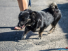 1518img_3972