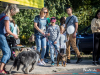 1518img_3976