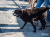 1519img_3980