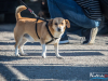 1519img_3985