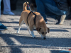 1519img_3986