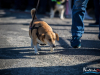 1520img_3989
