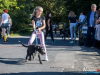 1521img_3992