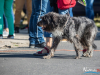 1521img_3996