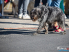 1521img_3997