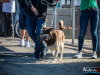 1522img_4001