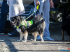 1522img_4004