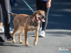 1524img_4024