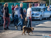 1524img_4025