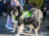 1525img_4036