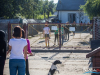 1526img_4043