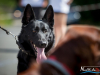 1435img_1471_06_18_2016