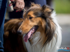 1435img_1472_06_18_2016