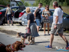 1436img_1476_06_18_2016