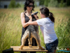 1438img_1485_06_18_2016