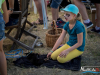 1441img_1494_06_18_2016