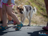 1443img_1500_06_18_2016