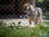 1445img_1509_06_18_2016