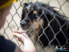 1447img_1525_06_18_2016