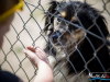 1447img_1526_06_18_2016
