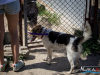 1449img_1531_06_18_2016