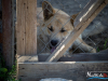 1449img_1534_06_18_2016