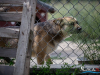 1456img_1584_06_18_2016