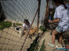 1501img_1596_06_18_2016
