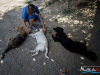 1503img_1605_06_18_2016