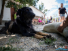 1503img_1609_06_18_2016
