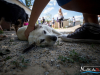 1503img_1611_06_18_2016