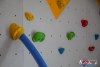 1159IMG_9569