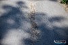 1406IMG_1440