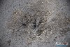 1406IMG_1441