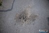 1406IMG_1442
