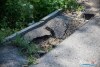 1406IMG_1445