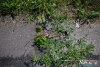 1407IMG_1456